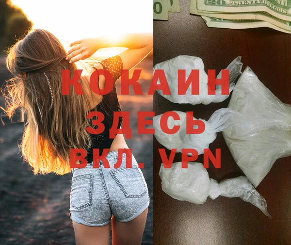 ГАЛЛЮЦИНОГЕННЫЕ ГРИБЫ Лабытнанги