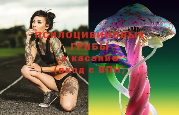 ГАЛЛЮЦИНОГЕННЫЕ ГРИБЫ Лабытнанги
