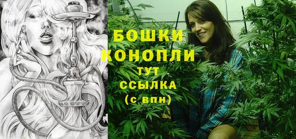 ГАЛЛЮЦИНОГЕННЫЕ ГРИБЫ Лабытнанги