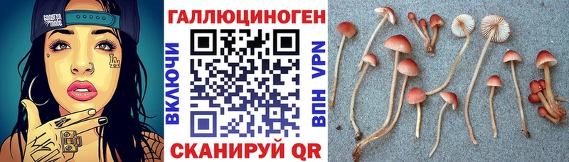 Галлюциногенные грибы мицелий  это состав  Талица 